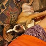 Gwen Tinney profile picture