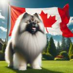 Cindy Lougheed Profile Picture