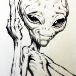 KimberSill Profile Picture
