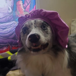 Mitchell Berkshire Profile Picture