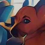 Dee19 Profile Picture