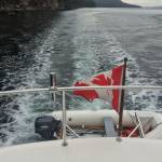 Smitch Profile Picture