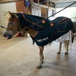 Heidi Pfosch Profile Picture