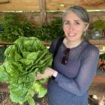 Lesley S Profile Picture