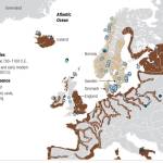 Donna McNeil Profile Picture