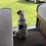 Cassie Profile Picture