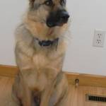 Kate Lily Profile Picture