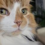 Christine Klassen profile picture