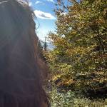 Susana Cheng Profile Picture