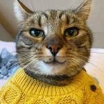 Sherri Rittinger Profile Picture