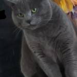Joanne Lalonde Profile Picture