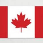 Debbie Carr Profile Picture