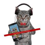 Bucky the Cat Profile Picture