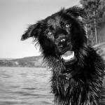 Betty Wallace Korpisto Profile Picture