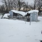 Cathy Krewenki Profile Picture