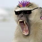 Gordon Lee Worden Profile Picture