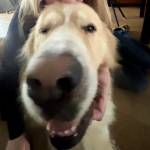 Clara Sieger Profile Picture