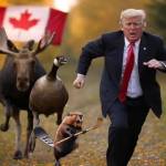 CanadianMade Profile Picture