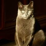 Marilyn Sargeant Profile Picture