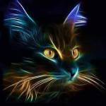Susan K Clark Profile Picture