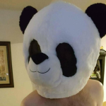 Stefano Profile Picture