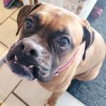 Kelly Quinnell Profile Picture