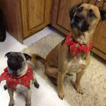 Sherri Nuttall Profile Picture