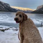 Darcie Czop Profile Picture