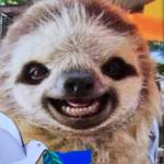 Angela Lowe Profile Picture