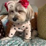 Blanche Bennett Profile Picture
