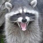 Wendy Jordan Profile Picture