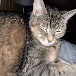 Debby D Profile Picture