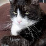Mary-Rose McCardy Profile Picture