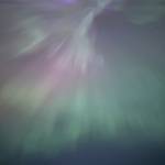 Joan Bates Profile Picture