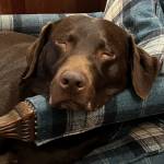 Maudie51 profile picture