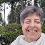 jodi cohen Profile Picture