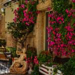 Valerie Verdone Profile Picture