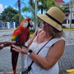 Diane Renaud Profile Picture