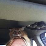 Bonnie Olafson Profile Picture