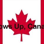 Connie Johnstone Profile Picture