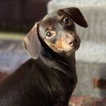 Eileen Puge profile picture
