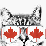 Crazycatlady Profile Picture