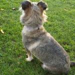 Marj V profile picture
