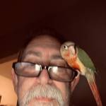 Ronald Gravelle Profile Picture