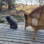 Tillie C Profile Picture