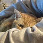 Margaret McEachern Profile Picture