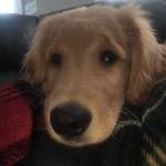 Penny Whynot Profile Picture