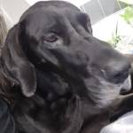 Connie Raslovetzky Profile Picture