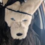 Theresa Rivet Profile Picture