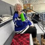 Shelley Merrifield profile picture